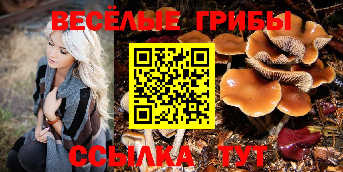 Псилоцибиновые грибы ЛСД  наркотики  Галлюциногенные грибы Psilocybe  Реутов  Вход с VPN 